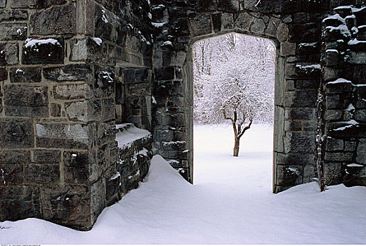 遗址,初雪,加蒂诺公园,魁北克,加拿大