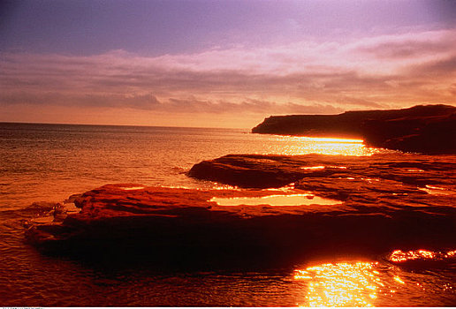 日落,上方,水,爱德华王子岛,加拿大