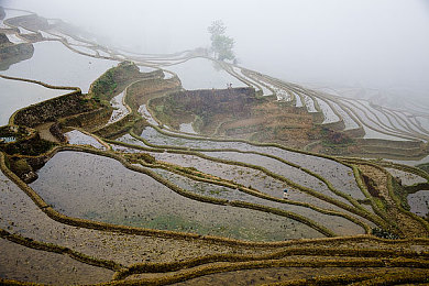 庄稼地图片