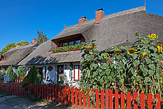 老,房子,费施兰德-达斯-茨因斯特,梅克伦堡前波莫瑞州,德国,欧洲