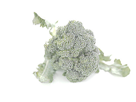 花椰菜,白色背景