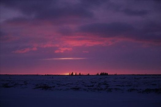 日落,上方,冰冻,风景,丘吉尔市,曼尼托巴,加拿大