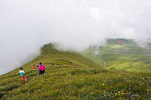 茶山扎营