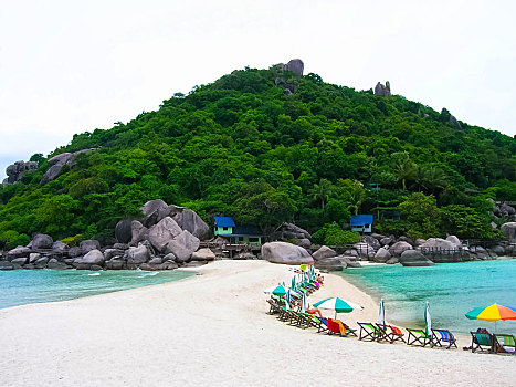漂亮,海滩,龟岛,泰国