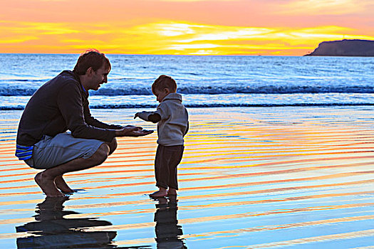 父亲,幼儿,儿子,玩,海滩,圣地亚哥,加利福尼亚,美国