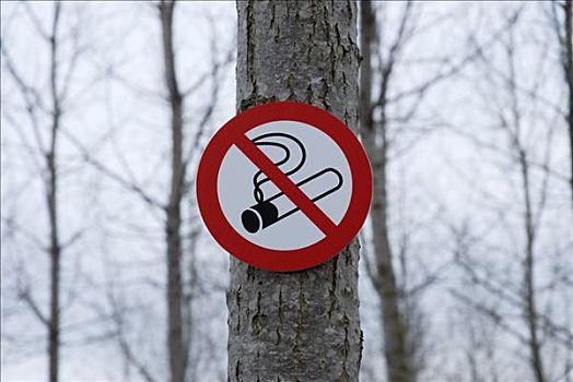 禁止吸烟标志,联结,树干