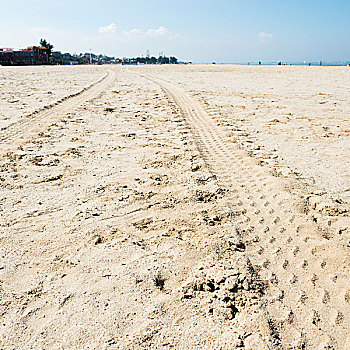 轮子,轨迹,海滩,沙子