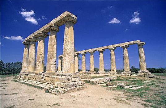 多利安式,柱子,寺庙,巴西里卡塔,意大利,欧洲
