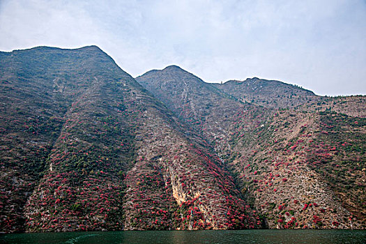 重庆巫山大宁河小三峡峡谷红叶