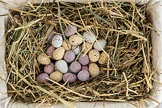 小,糖果,复活节彩蛋,篮子,稻草