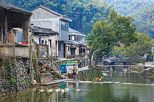 小溪,老房子,山泉,流水