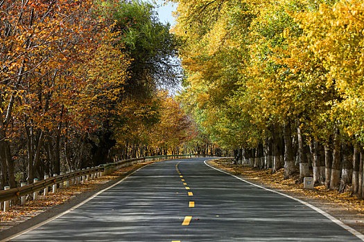 新疆,道路