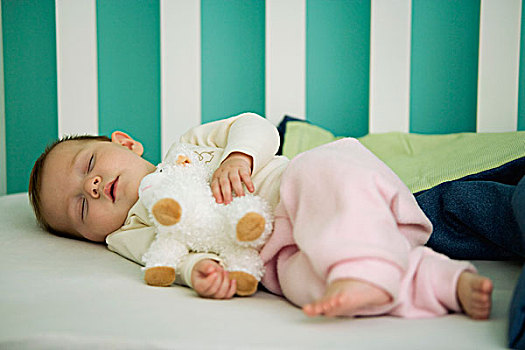 婴儿,睡觉,婴儿床,拿着,毛绒玩具