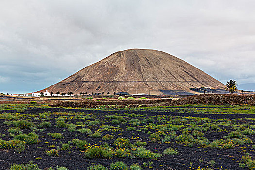 火山,兰索罗特岛,加纳利群岛,西班牙