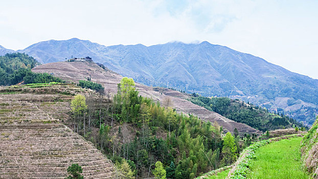 风景,山,靠近,乡村,乡野