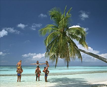 年轻,情侣,扛,浅水,棕榈树,海滩,悬挂,上方,水,马尔代夫,印度洋