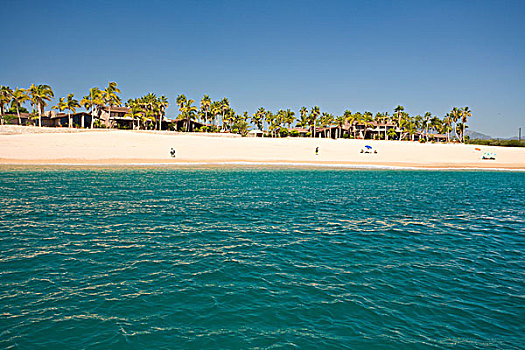 湾,海滩,靠近,卡波圣卢卡斯,下加利福尼亚州,墨西哥