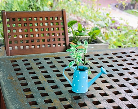 绿色植物,洒水壶,木桌子