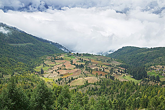 不丹,布姆唐,风景,农田,乡村,山谷