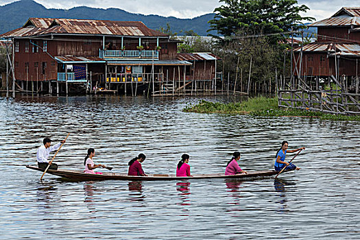 缅甸,茵莱湖,人,划船,独木舟,家