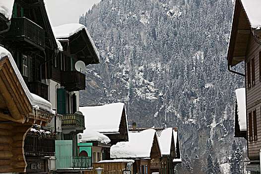 瑞士,伯恩,劳特布龙嫩,滑雪,木制屋舍,冬天