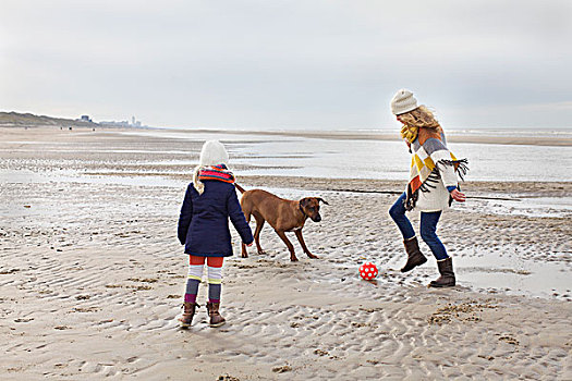 中年,女人,女儿,狗,玩,足球,海滩,荷兰