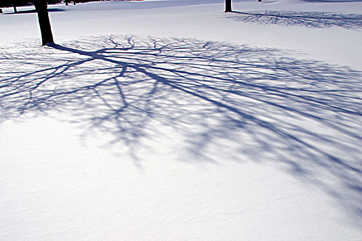 影子,积雪,风景