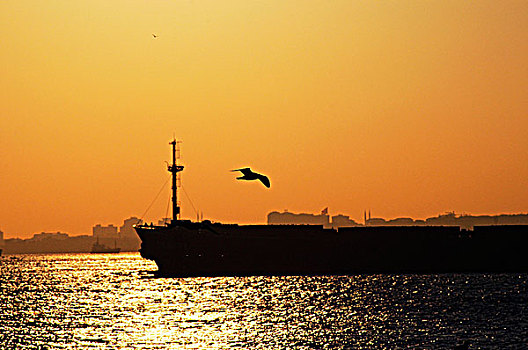 集装箱船,海中,黄昏,伊斯坦布尔,土耳其