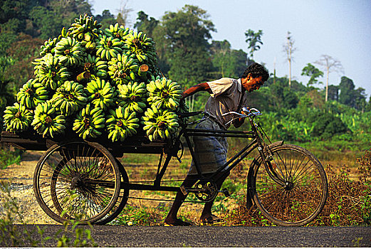 男人,装载,自行车,安达曼群岛,印度
