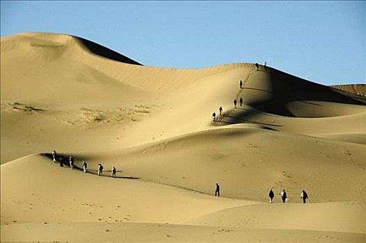 远足,人,戈壁沙漠,国家公园,蒙古