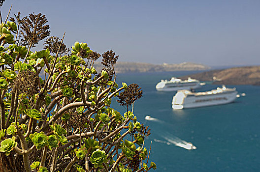船,海岸,锡拉岛,基克拉迪群岛,希腊,欧洲