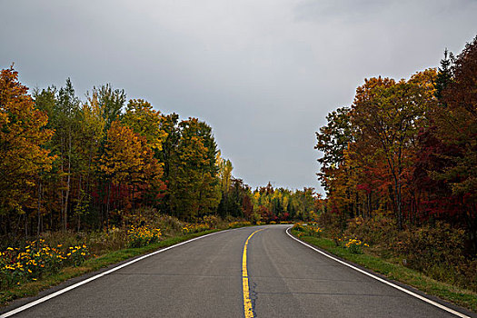 林间公路