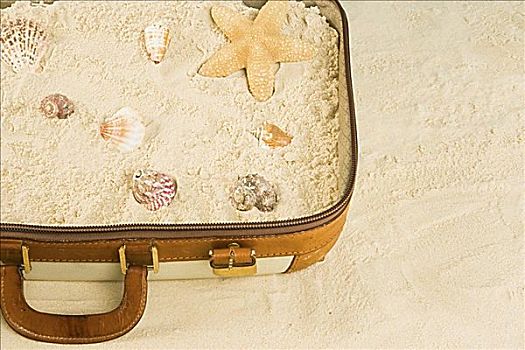 海星,壳,沙子,手提箱