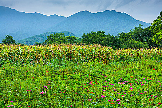 山岭风光