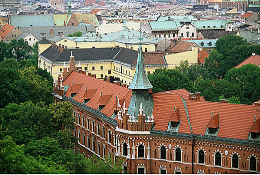 屋顶,克拉科夫,波兰