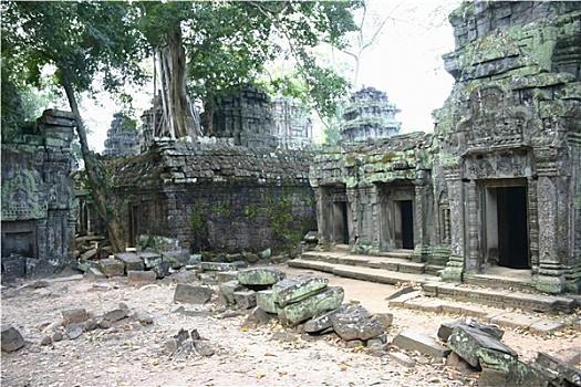 古遗址,庙宇,吴哥窟,收获,柬埔寨