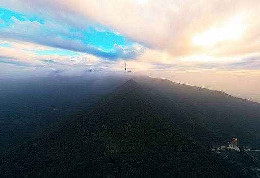 梧桐山