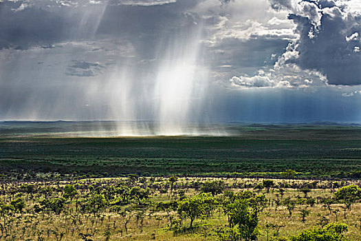 肯尼亚,荒野,暴风雨,上方