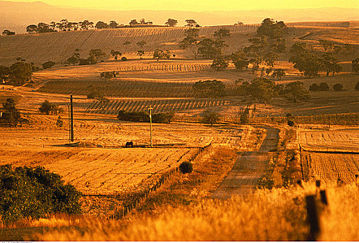 俯视,农田,日落,巴罗萨峡谷,澳洲南部,澳大利亚