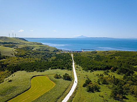 白色,道路