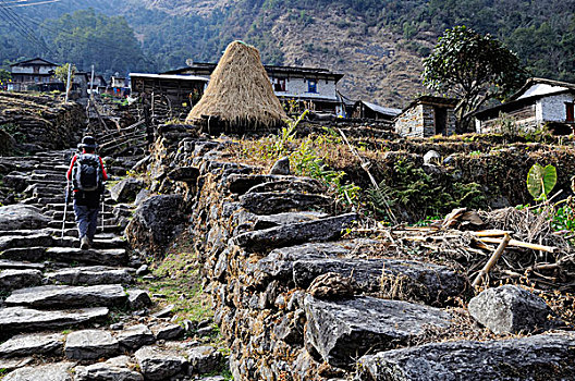 尼泊尔,安纳普尔纳峰,长途旅行者,攀登,向上,石头,台阶,乡村