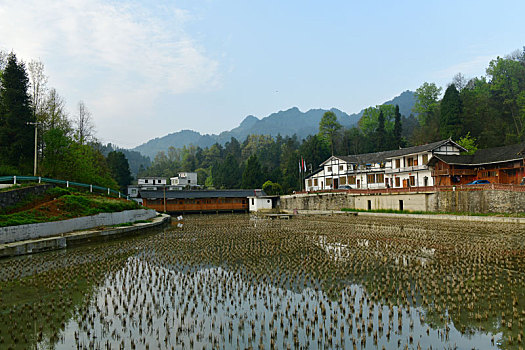 贵州凤冈,山村静美