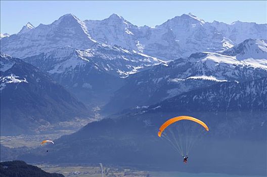 滑翔伞,正面,艾格尔峰,链子,山,少女峰,伯恩高地,高地,阿尔卑斯山,因特拉肯,瑞士