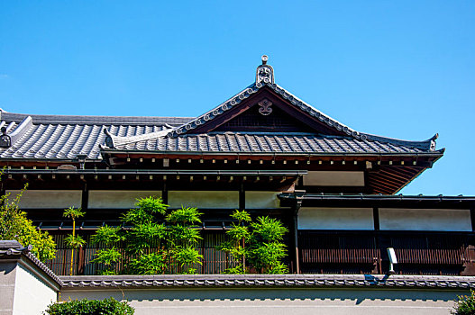 日本东京,上野公园著名佛寺,修禅院佛寺