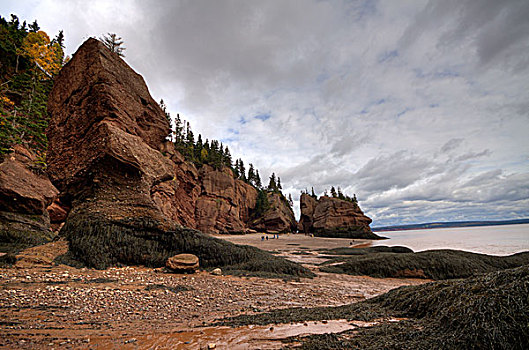 宽,霍伯威尔岩,芬地湾,新布兰斯维克,加拿大,图像