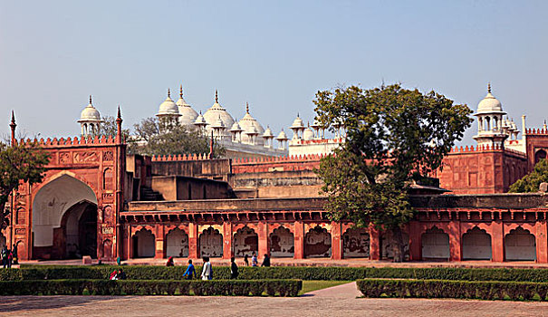 印度,北方邦,堡垒,珍珠,清真寺