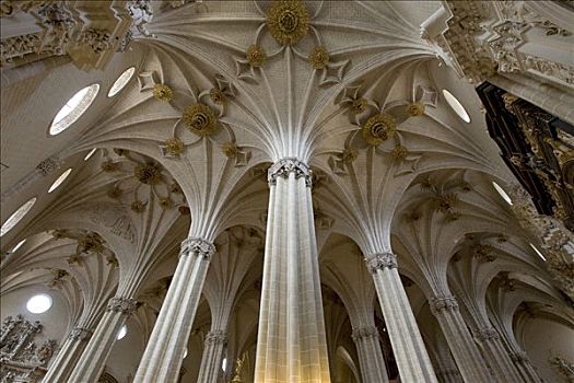 圣萨尔瓦多,大教堂,柱子,华丽,拱顶天花板,拱,萨拉戈萨,阿拉贡,西班牙