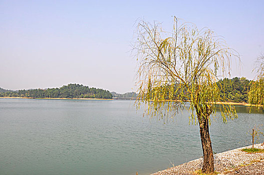 清水湖