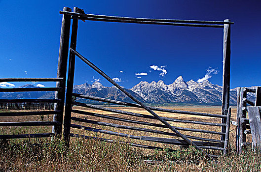 围栏,框,山,大台顿国家公园,怀俄明
