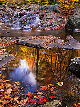 秋天,平和,瀑布,仙纳度国家公园,大幅,尺寸